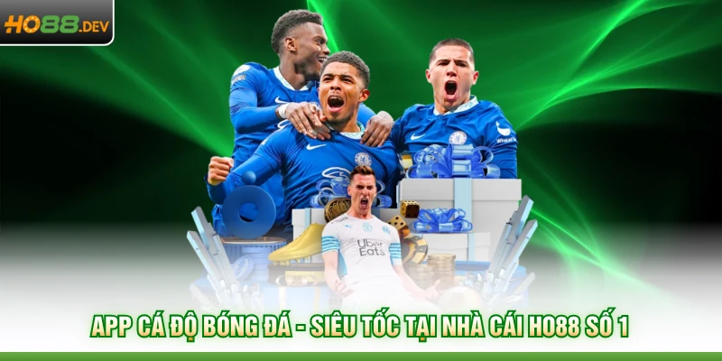 App cá độ bóng đá