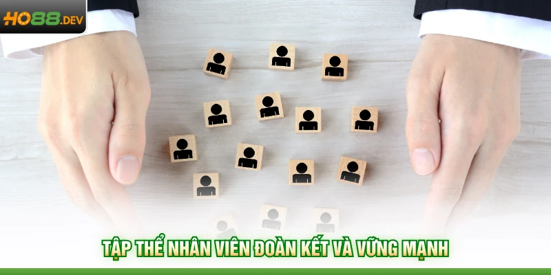 Tập thể nhân viên đoàn kết và vững mạnh